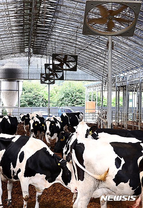 사진-뉴시스 제공.