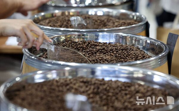 사진=뉴시스 제공.