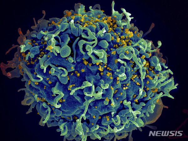 사진=뉴시스 제공.