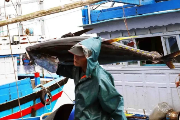 사진=뉴시스 제공.