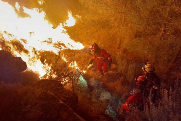 사진=뉴시스 제공.