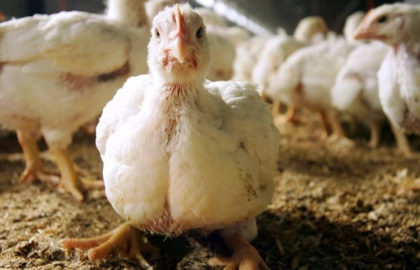 사진=뉴시스 제공.