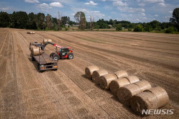 사진=뉴시스 제공.