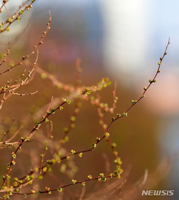 사진=뉴시스 제공.