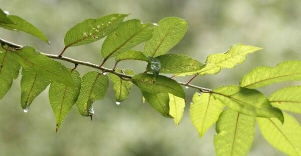 사진=뉴시스 제공.