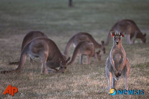 사진=뉴시스 제공.