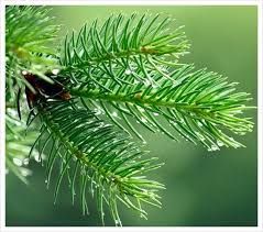 사진=뉴시스 제공.