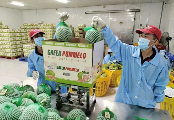 사진=뉴시스 제공.