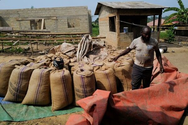 사진=뉴시스 제공.