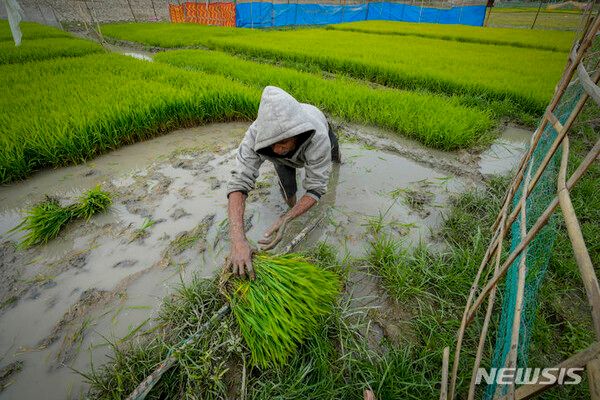 사진=뉴시스 제공.