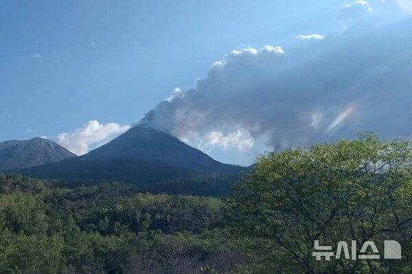 사진=뉴시스 제공.