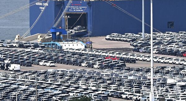 사진=뉴시스 제공.