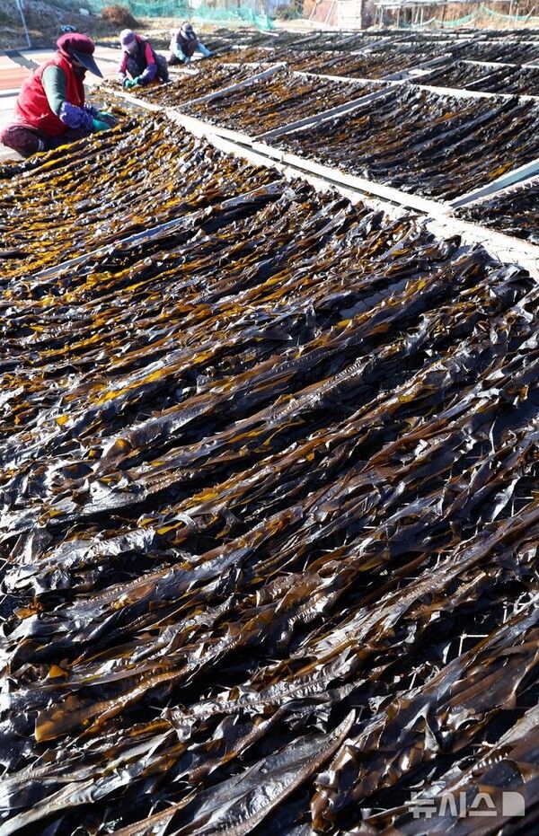 사진=뉴시스 제공.