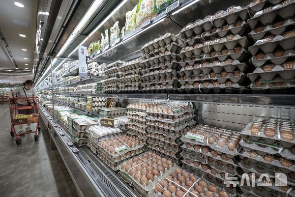 사진=뉴시스 제공.