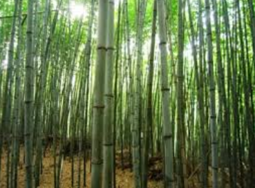 사진=뉴시스 제공.