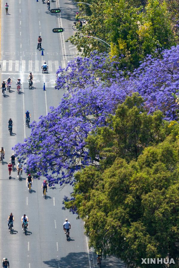 사진=뉴시스 제공.