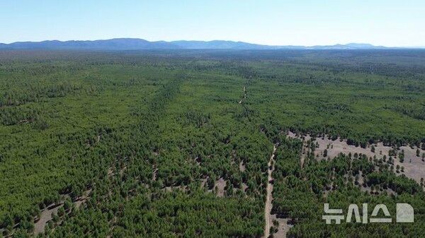 사진=뉴시스 제공.