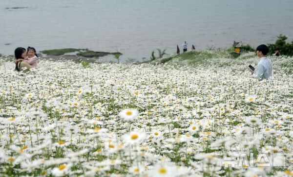 사진=뉴시스 제공.