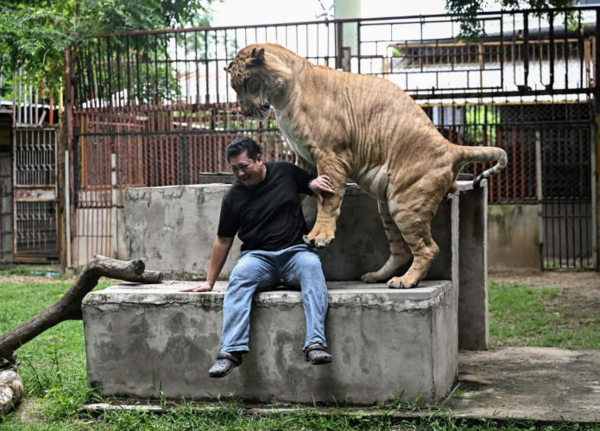 사진=뉴시스 제공.