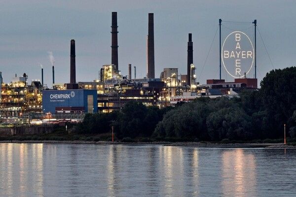 사진=뉴시스 제공.