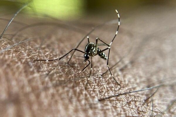 사진=뉴시스 제공.