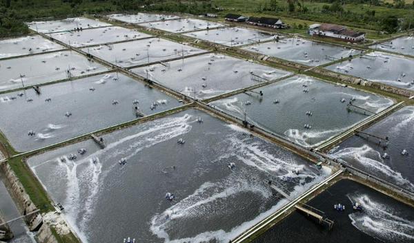 사진=뉴시스 제공.