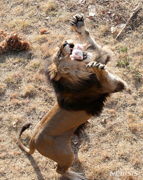 사진-뉴시스 제공.