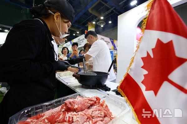 사진=뉴시스 제공.