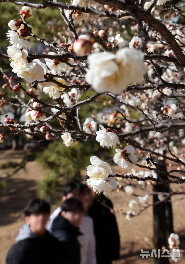 사진=뉴시스 제공.