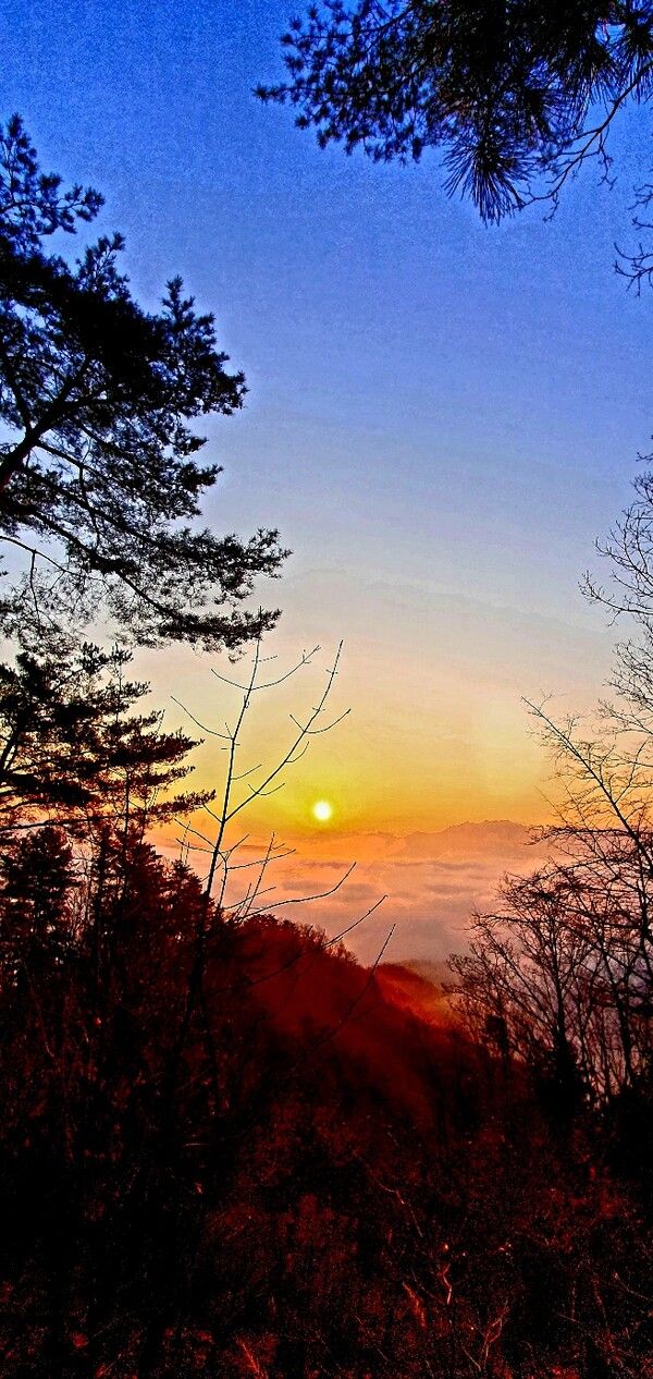 사진=뉴시스 제공.