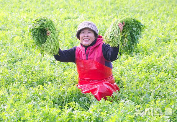 사진=뉴시스 제공.