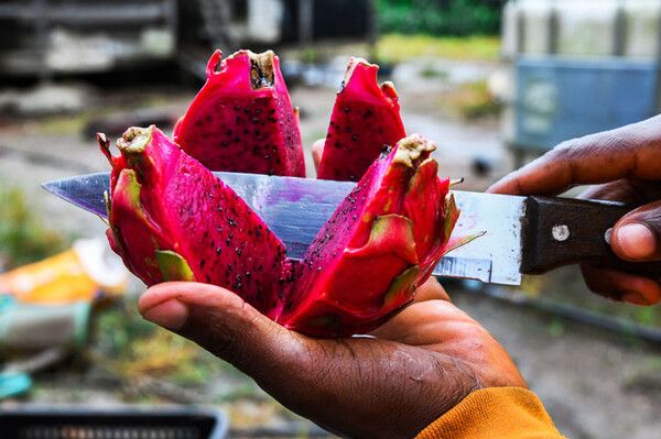 사진=뉴시스 제공.