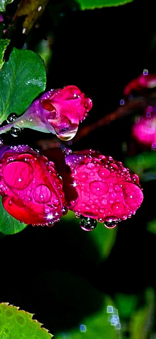 사진=뉴시스 제공.