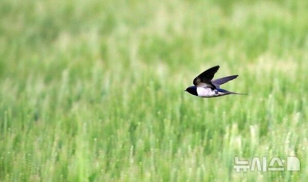 사진=뉴시스 제공.