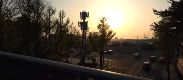 사진=태양&nbsp;컴백 앨범 'Down to Earth' 다큐멘터리 PART2, 아내 민효린과 오후 산책 중인 태양/유튜브