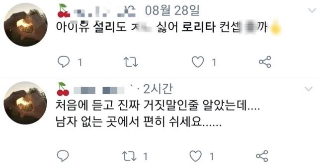 사진=한 트위터 누리꾼이 고(故) 가수 설리를 향한 악플을 이어가는 모습/트위터