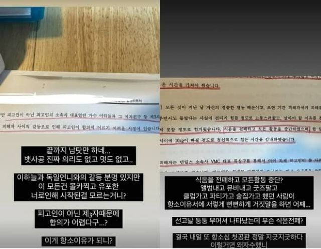 뱃사공 항소이유서와 이를 비난하는 피해자 A씨의 인스타그램 게시물