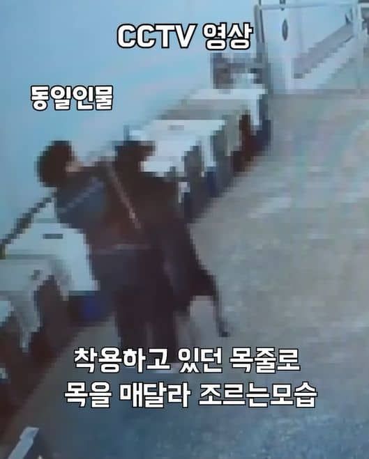 애견 호텔 퍼피플리즈 CCTV에 촬영된 대형견 도베르만 학대 영상