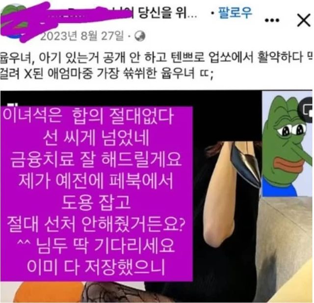 페이스북 오또맘 허위 사실 유포 / 출처 = 온라인 커뮤니티