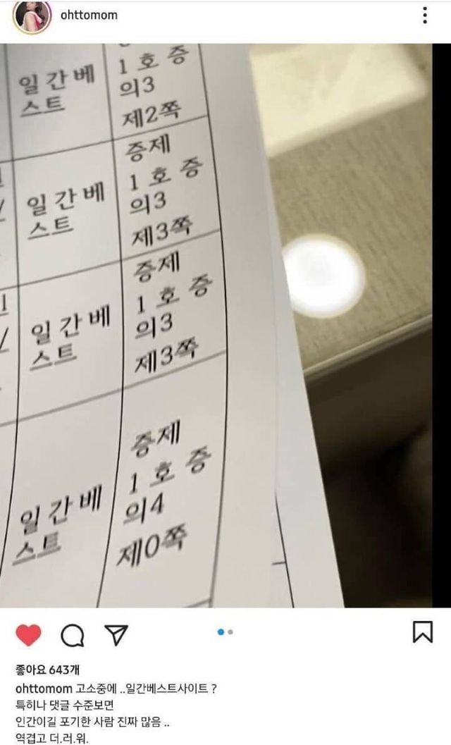 오또맘 일베 회원 상대 고소장 / 출처 = 인스타그램