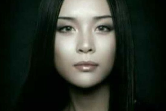 트랜스젠더 연예인으로 유명세를 얻었던 하리수 / 유튜브