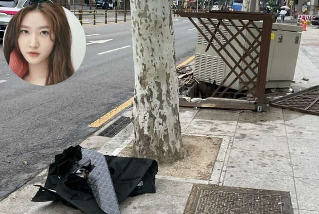 음주 뺑소니 사건으로 물의를 빚었던 김새론 / 온라인 커뮤니티