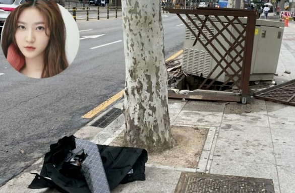 음주운전 사건으로 연예계에서 사실상 매장된 김새론 / 온라인 커뮤니티