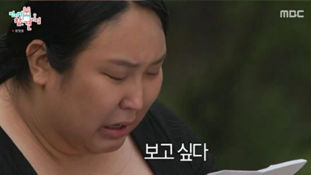 방송인 풍자