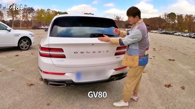 ▲GV80과 기안84(사진=유튜브 '인생84')