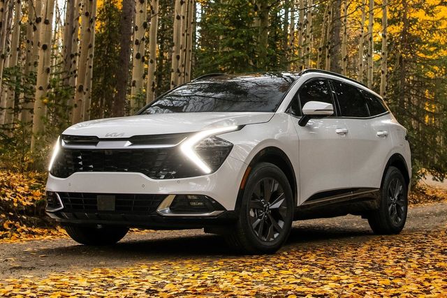 ▲스포티지(사진=기아)