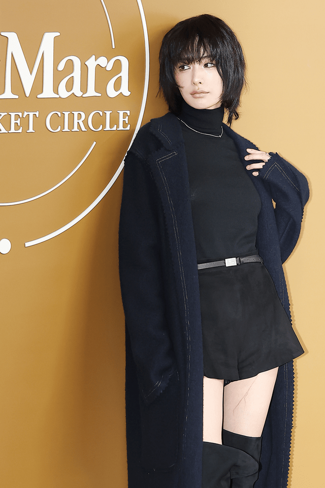 ▲나나 (사진=뉴스1)