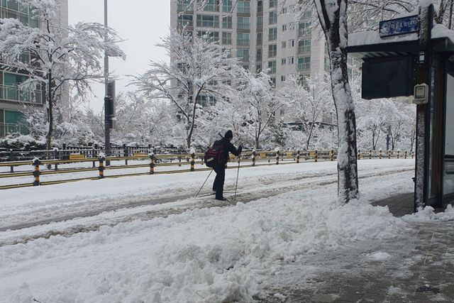 ▲ 인터넷 커뮤니티에 올라온 '스키 출근남' (사진=커뮤니티 갈무리)