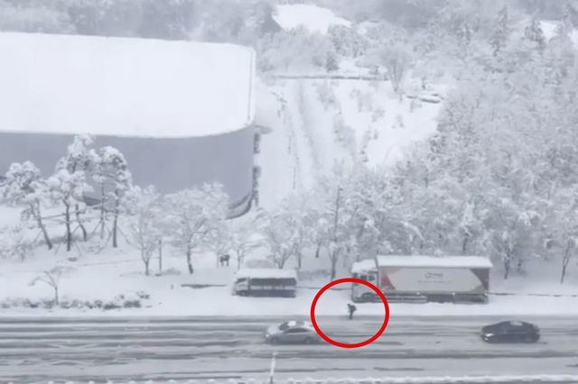 ▲ 인터넷 커뮤니티에 올라온 '스키 출근남' (사진=커뮤니티 갈무리)