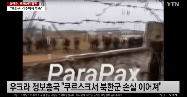 ▲전쟁에 참전한 병사들 (사진=YTN NEWS)